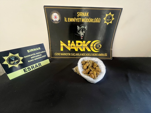 Şırnak'ta kaçakçılık operasyonlarında 29 şüpheli hakkında adli işlem uygulandı
