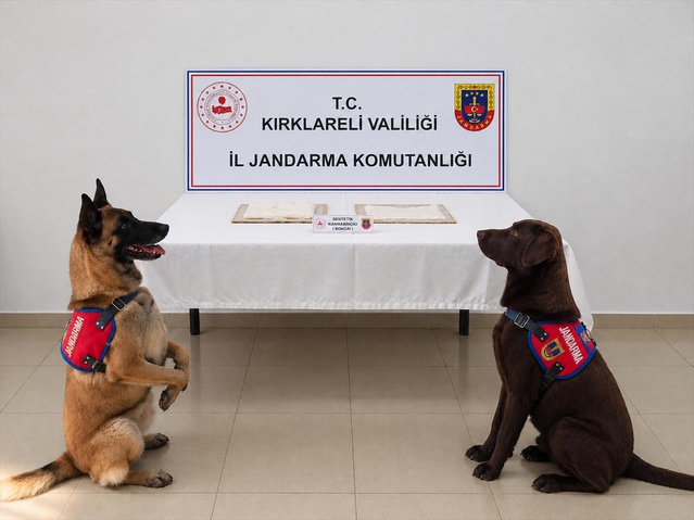 Kırklareli'nde cezaevine 7 peçeteyle uyuşturucu sokmaya çalışan hükümlü tutuklandı