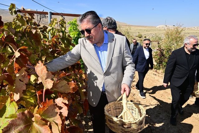 Eskişehir'de Vali Yılmaz ve Destici, 820 yıllık Selçuklu köyünde bağ bozumu yaptı