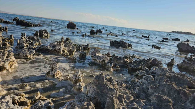 Van Gölü'nde yağışlara rağmen su kaybı sürüyor, kıyılarda yeni alanlar oluşuyor