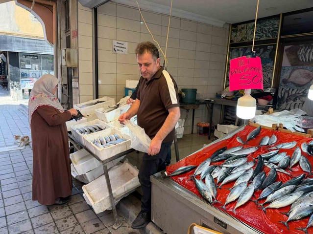 Sinop Türkeli'de yerli balıkçıların avladığı palamut 50 TL'den satışa sunuldu