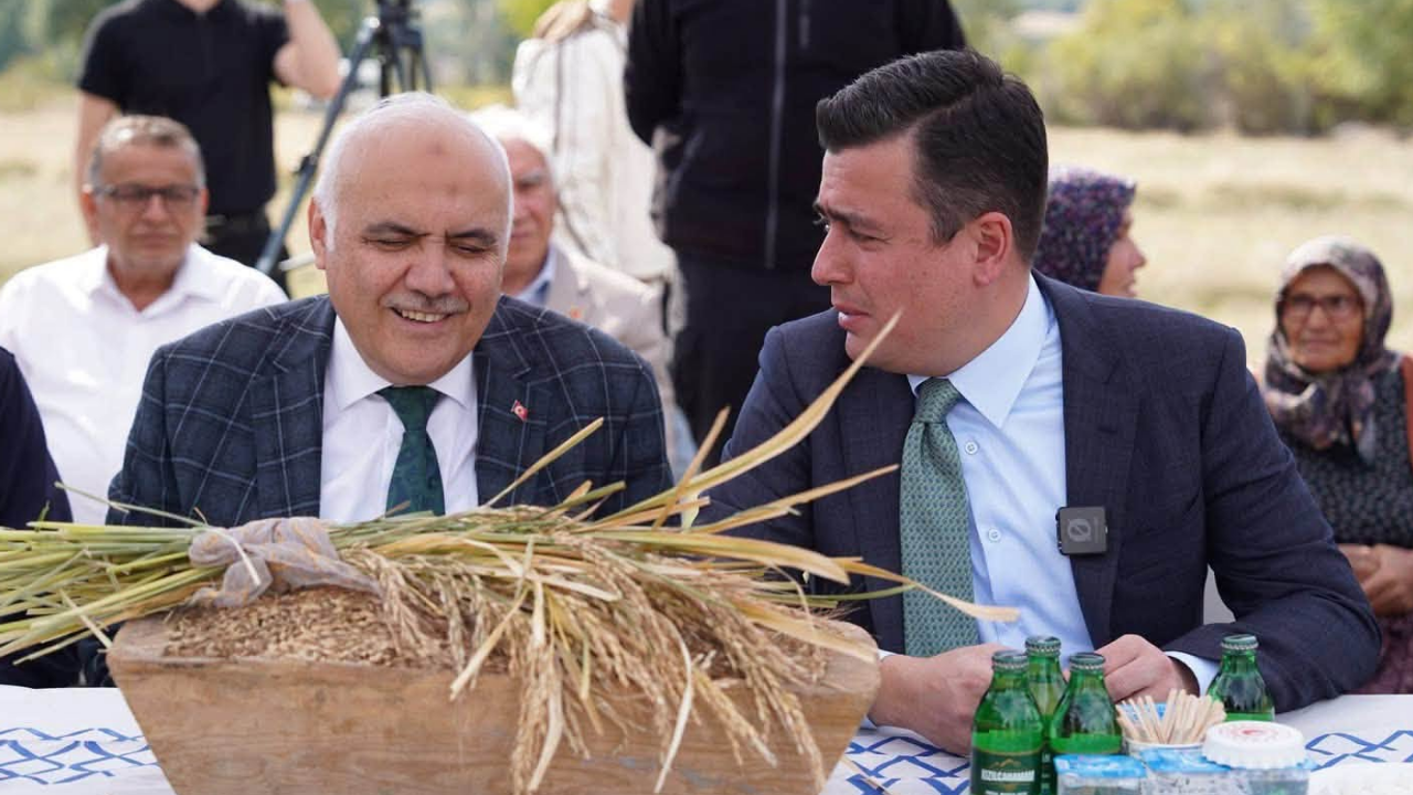 Kızılcahamam’da Çeltikçi Pirinci için ikinci hasat yapıldı