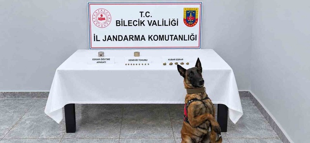 Bilecik'in Pazaryeri'nde ev baskınında narkotik köpek 65 gram kubar esrar buldu