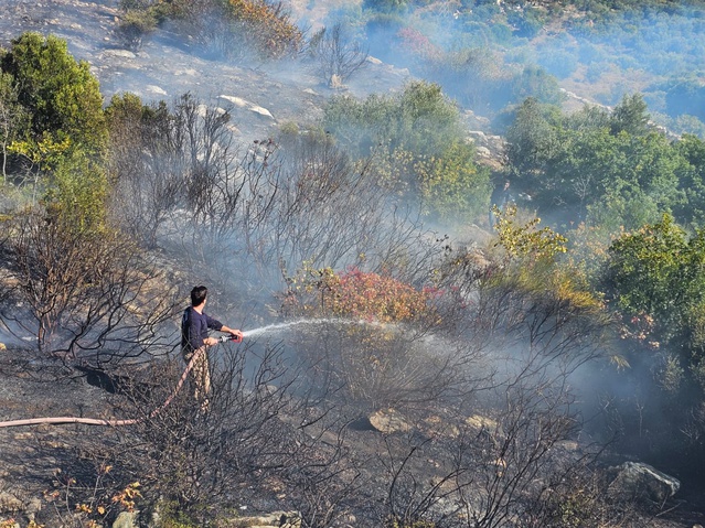 Balıkesir Marmara'da çalılık yangınını itfaiye yarım saatte kontrol altına aldı