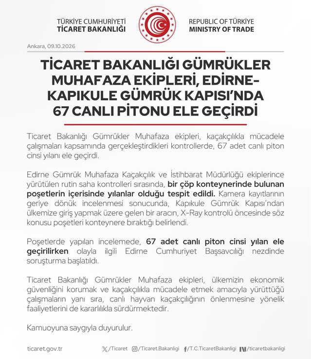 Kapıkule'den gelen aracın X-Ray öncesi bıraktığı poşette 67 canlı piton bulundu