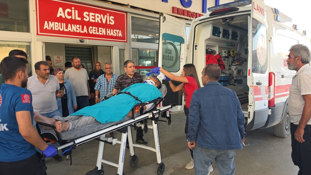 Adana Kozan'da kestiği ağaç üzerine devrilince Yusuf Özdoğan ağır yaralandı