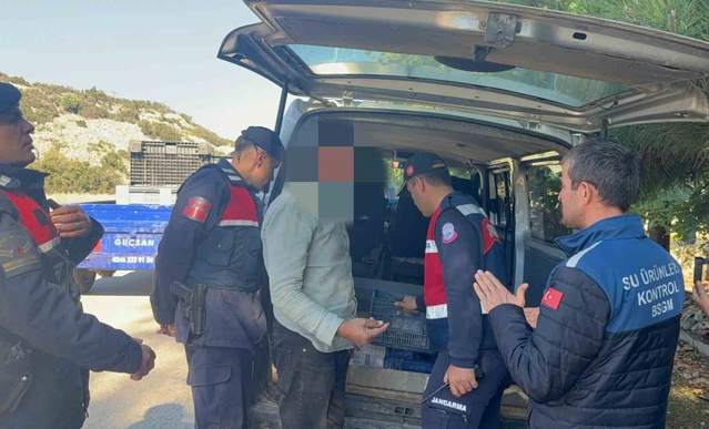 Eğirdir'de 50 kg balık belgesiz taşınırken ele geçirildi, 47 bin 397 TL ceza uygulanacak