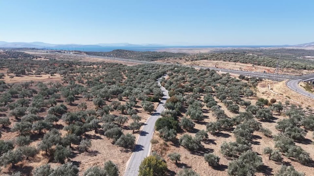İzmir Büyükşehir Belediyesi, Dikili'de 16 kilometrelik turizm yolunda sona yaklaştı