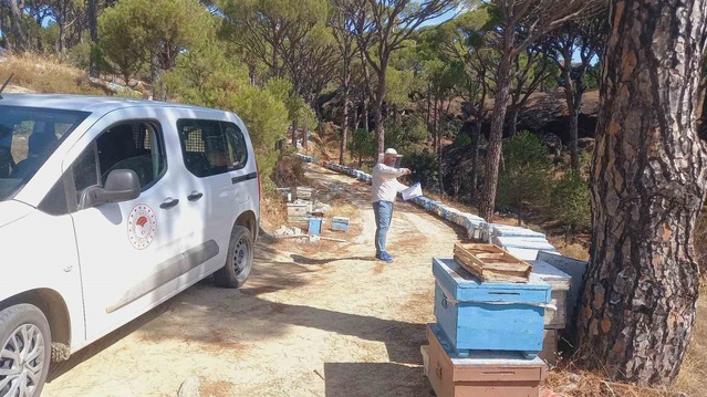 Aydın Bozdoğan'da İlçe Tarım ekipleri arılı kovan kaydını güncelliyor