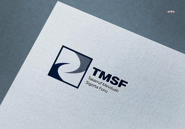 Tera Yatırım Teknoloji Holding'e TMSF kayyum atandı, başkanlığa Şirin getirildi