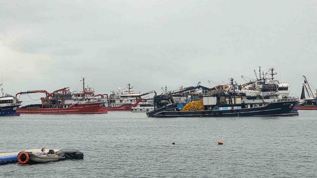 Karadeniz Ereğli'de trol gemileri olumsuz hava nedeniyle limana demir attı