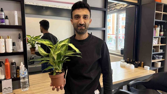 Evleri süsleyen bitki 2 yaşındaki çocuğu yoğun bakımlık etti