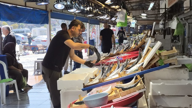 Balıkesir Bandırma'da palamut bolluğu, 1 kiloluk palamut 100 TL'den satılıyor