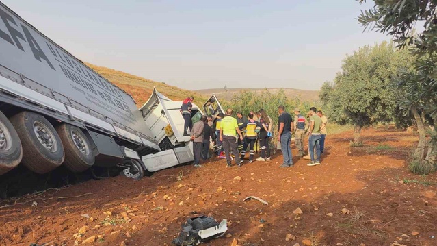 Hatay Reyhanlı Cilvegözü'nde zeytin bahçesine devrilen tırın sürücüsü yaralandı