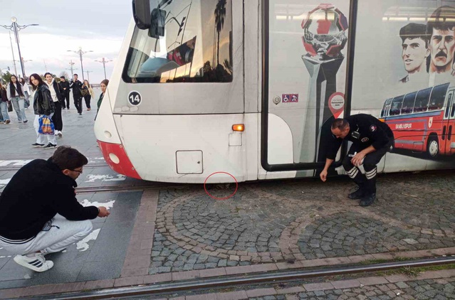 Samsun'da tramvayın altına giren yavru kedi, rayların ortasında sağ kurtarıldı