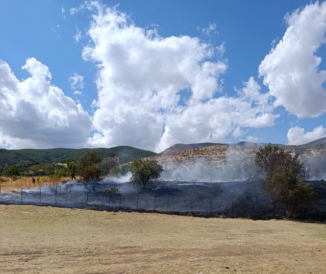 Bitlis Hizan'da örtü yangını rüzgar nedeniyle sürüyor, ekipler müdahale ediyor