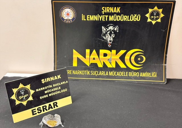 Şırnak'ta kaçakçılık operasyonunda 14 şüpheliye işlem yapıldı, bonzai ele geçirildi