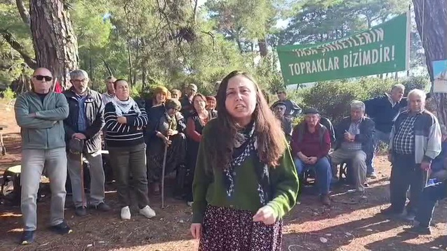 Danıştay 6. Dairesi Akbelen'de 679 parsel için açılan kamulaştırma davasını reddetti