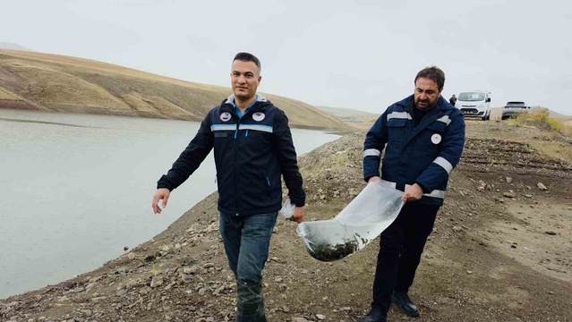 Van'da son bir ayda 35 balıkçı teknesi denetlendi, 700 bin yavru sazan bırakıldı