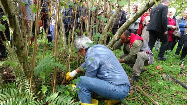 Giresun Keşap'ta fındık üreticileri doğru budamayı bahçede uygulamalı öğreniyor