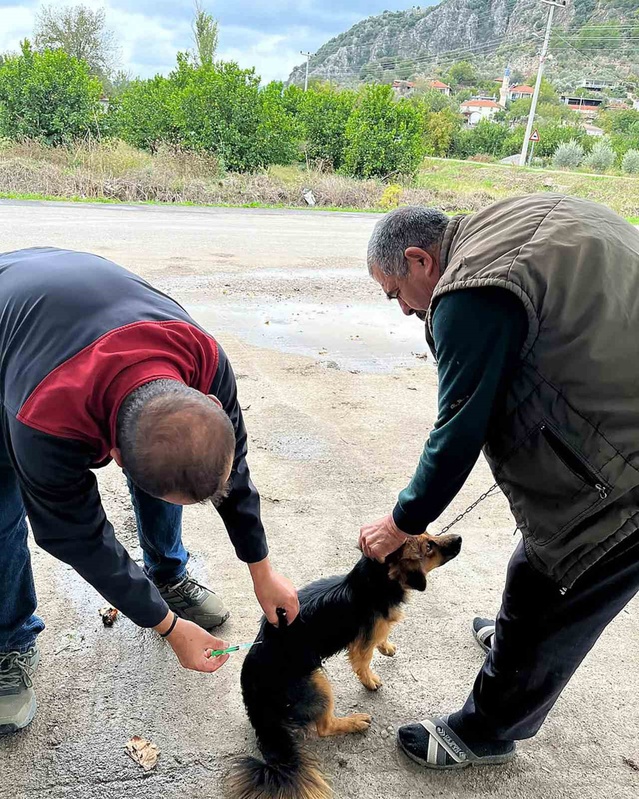 Ortaca'da kedi ve köpeklere kuduz aşısı Dereköy ile Karadonlar'da yapıldı