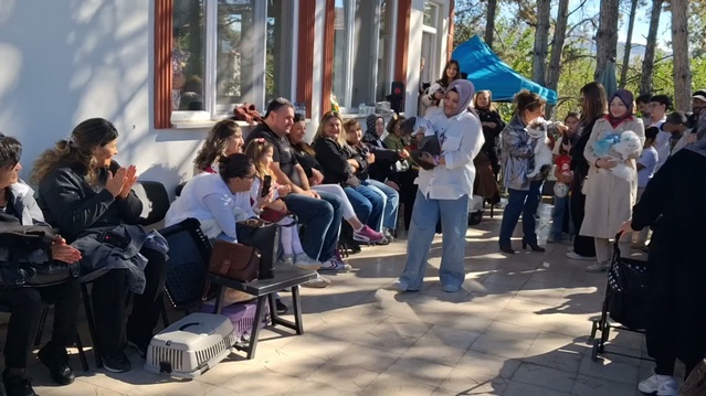 Tokat'ta kedi yarışmasında Şeyma Altıner'in kedisi Pamuk 'En Süslü Kedi' birinci oldu