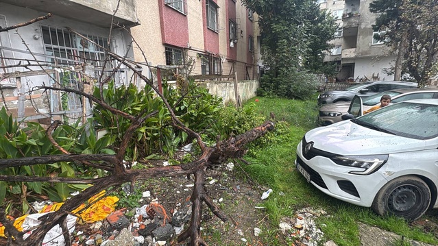 Bağcılar'da 34 HCB 603 plakalı otomobilin üzerine yağış ve rüzgarla ağaç devrildi