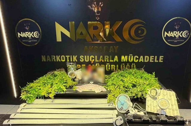Aksaray'da 229 kök hint keneviri ele geçirildi, 1 şüpheli tutuklandı