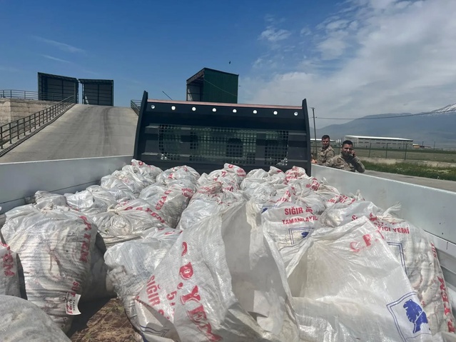Van'dan Doğubayazıt'a kaçak getirilen 2 ton inci kefaline jandarma el koydu