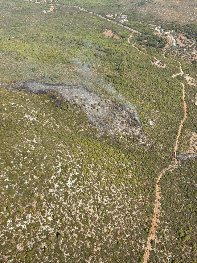 Bodrum'daki orman yangını 2 uçak ve 6 helikopterle kontrol altına alındı