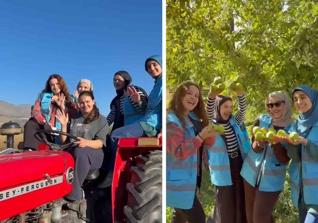 Erzincan Üzümlü'deki tescilli bağlarda Kız Öğrenci Yurdu öğrencileri hasat yaptı