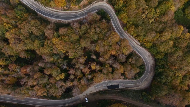 Uludağ sonbaharda sarı ve kızıla büründü, 171 endemik türe ev sahipliği yapıyor
