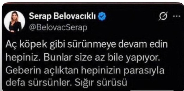 Bakırköy Başsavcılığı, Serap Belovacıklı'ya paylaşımı nedeniyle resen soruşturma açtı