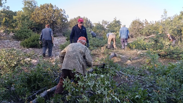 Yozgat Çekerek'te imeceyle kesilen meşeden arta kalan yapraklar hayvanlara yem oluyor