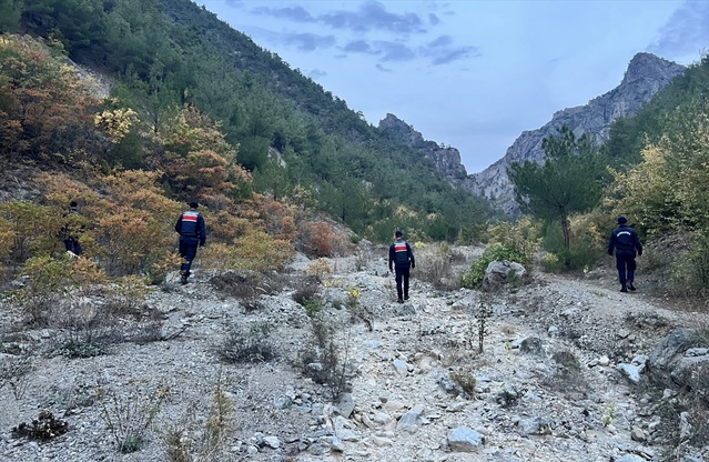 Sinop Boyabat'ta mantar toplamaya giden 71 yaşındaki kadın kayboldu, arama başlatıldı