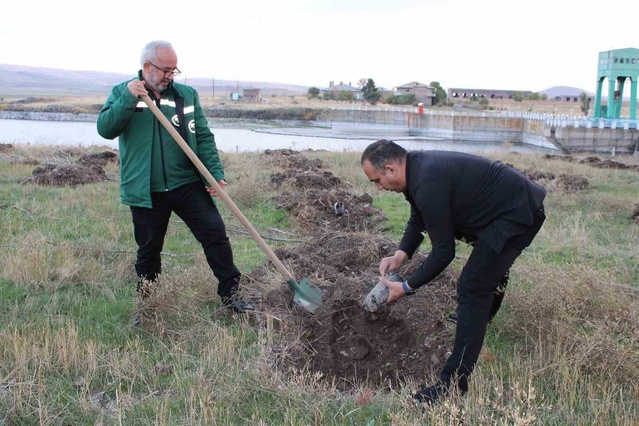 DSİ ve Erzurum Orman Bölge Müdürlükleri baraj çevresinde fidan dikimine başladı