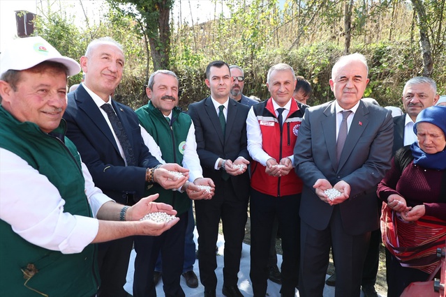 Ordu Akkuş'ta şeker fasulyesi hasadında 2026 üretimi yaklaşık 2 bin 200 tona ulaştı