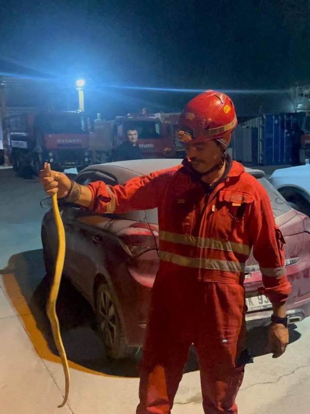 Hatay Antakya'da itfaiye araçtaki yılanı zarar vermeden yakalayıp doğaya bıraktı