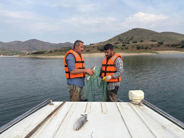 Elazığ Su Ürünleri Enstitüsü baraj göllerinde istilacı balık türlerini örnekliyor