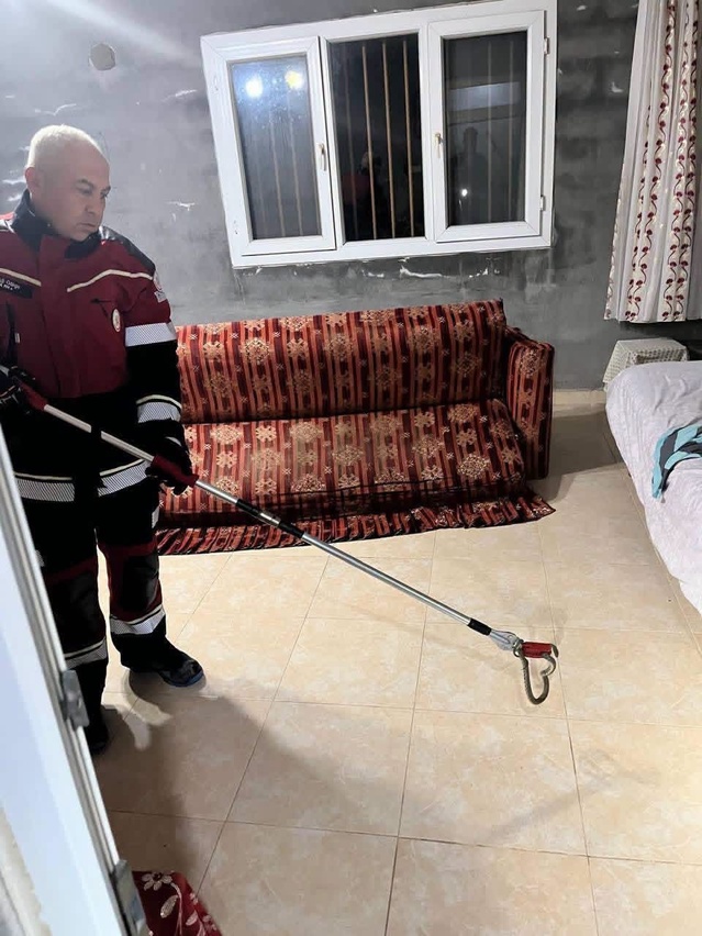 Hatay Samandağ'da yerleşim yerine giren yılan itfaiyece yakalanıp doğaya bırakıldı