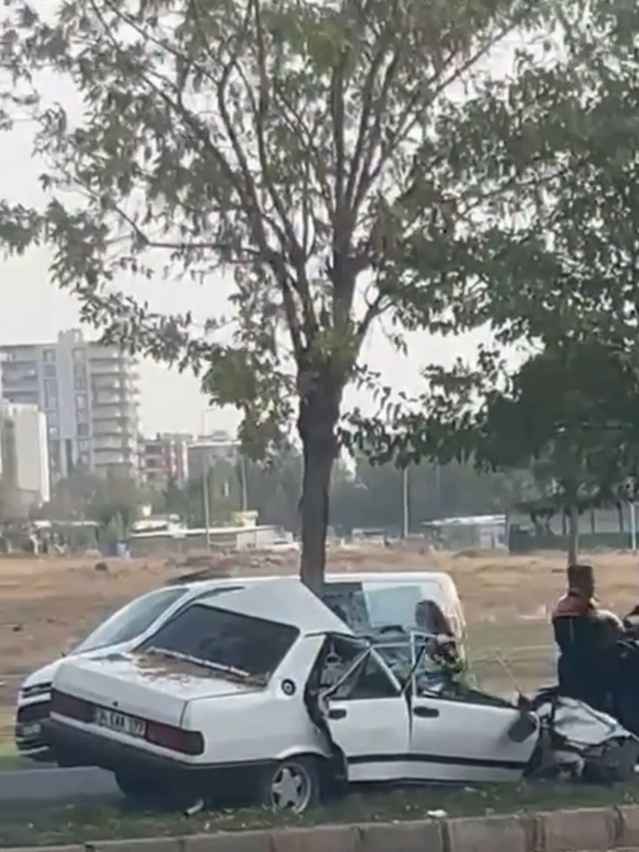 Şanlıurfa Siverek'te otomobil ağaca çarparak ikiye bölündü, 3 kişi yaralandı