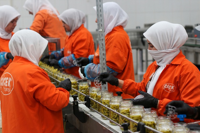 Türkiye 9 ayda 121 ülkeye 301 milyon 675 bin dolarlık turşu ihraç etti