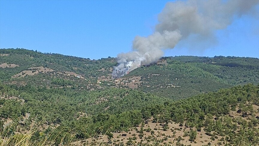 Bursa'da çıkan orman yangınına müdahale ediliyor