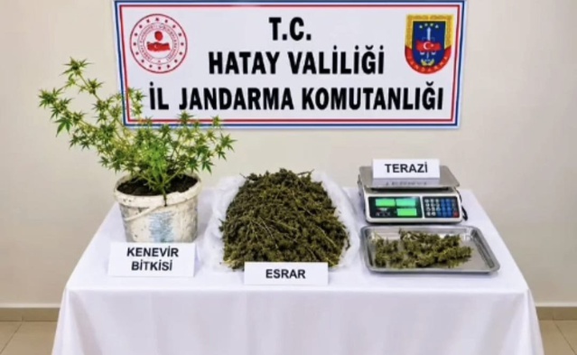 Hatay Kumlu'da bir evde 3.578 gram yasaklı madde ele geçirildi, 1 şahıs tutuklandı