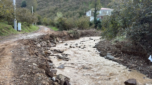 Sakarya Karasu'da Darıçayırı Mahallesi 5 ayda 4'üncü kez baraj suları altında kaldı