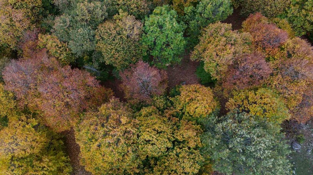 Yozgat'taki 1550 rakımlı Şebek Geçidi sonbahar renkleriyle dronla görüntülendi