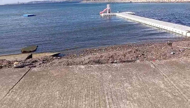 Yalova Taşköprü'de denize bu kez kırmızı sıvı karıştı, vatandaşlar inceleme istedi