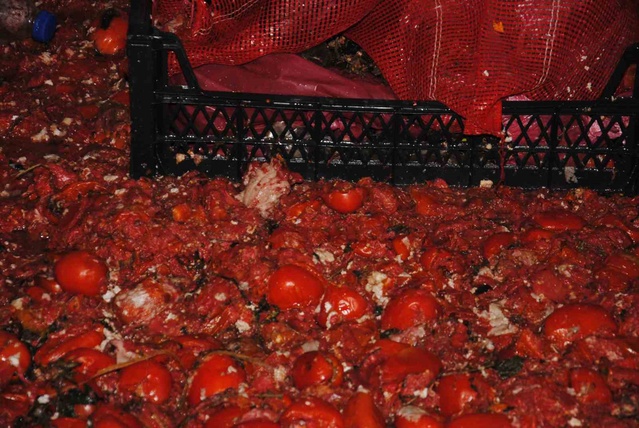 Şanlıurfa'da zabıta çürük domates ve küflü salçaya el koydu, işletmeye ceza verdi