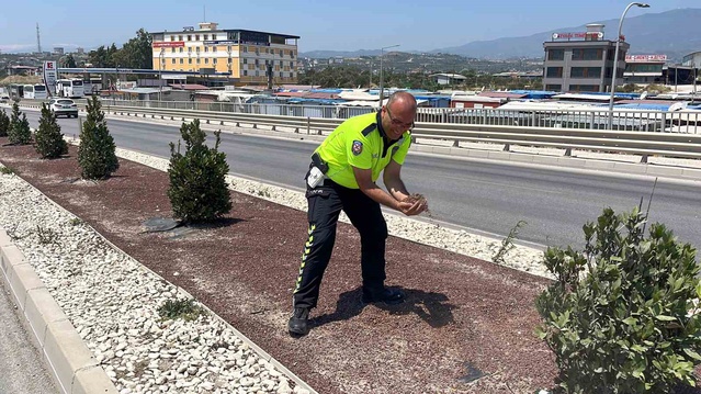 Antakya'da kaza sonrası yağlanan yolu kumla kapatan trafik polisine övgü yağdı