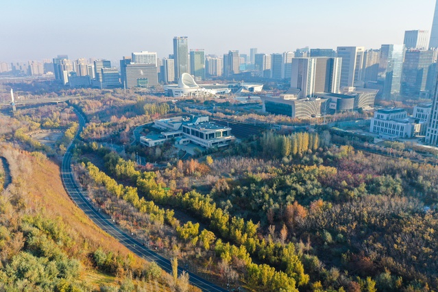 Xinjiang'da kentsel ve kırsal alanlarda ekolojik bariyer önlemleri alındı